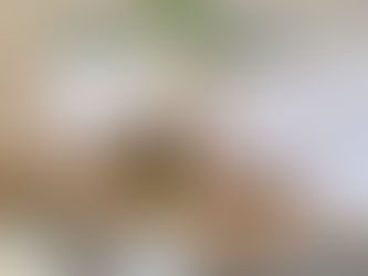 藤沢駅こう歯科 おとなこどもの歯医者さん