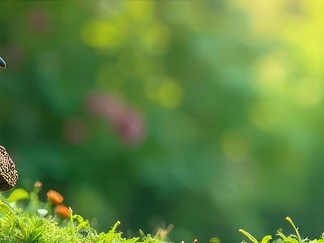 Daily Dose: The Secret to Progress: Prayer and End-Time Readiness