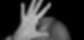 2violenza-1250x596.jpg