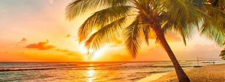 ☀️ Januar er grå – Egypten er gylden.