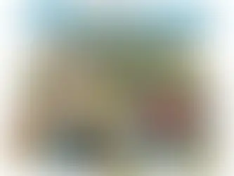 Gaveide 2025: Oplev Magien i 'Den Fantastiske Bus' med Dine Børn.