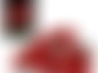 LEGO NYHED - LEGO Icons - Buket Roser.