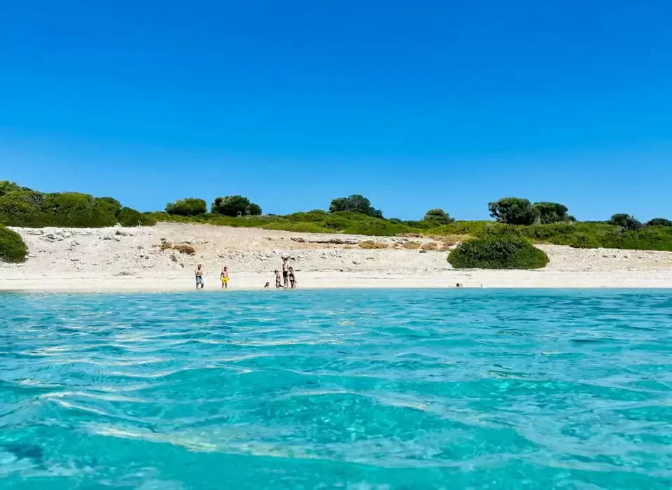 Charterrejser Med Aarhus Charter Til Lesbos