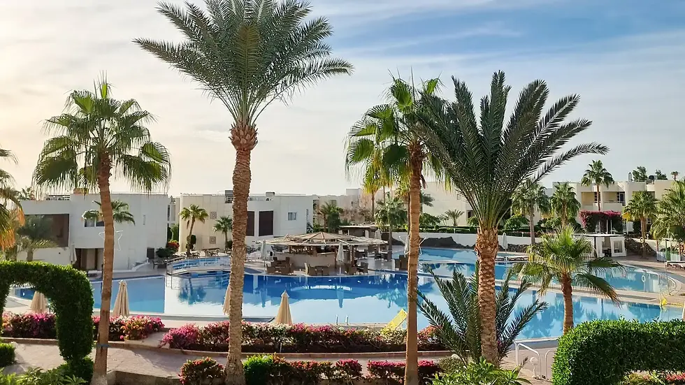 Sharm Reef Hotel.
