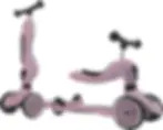 Scoot & Ride 2i1