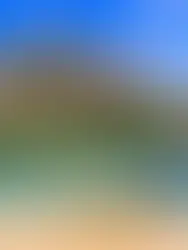 Charterrejser Til Lesbos Med Aarhus Charter.