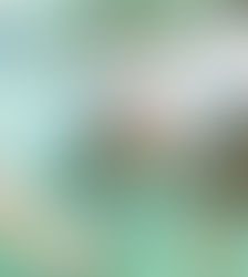 Charterrejse i Julen: Skift Juletræet Ud Med Strand og Sol