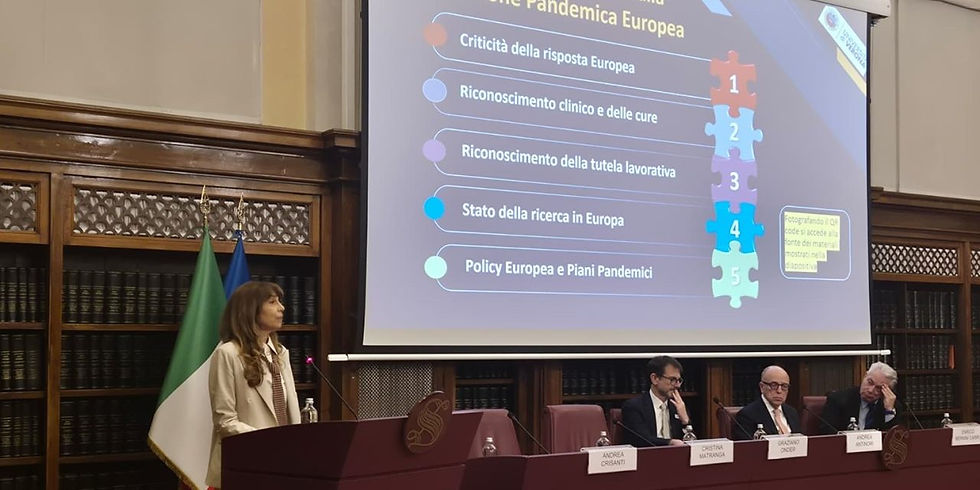 Prof. Tacconelli delivering her presentation at the Italian Senate.