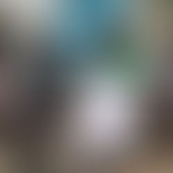 A new project: “BY YOUTH SIDE"! 