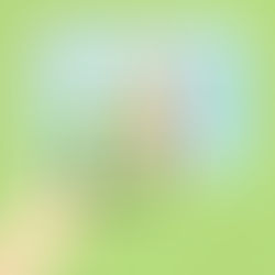 Share your insights regarding the efficiency of ethical review procedures for cohort studies