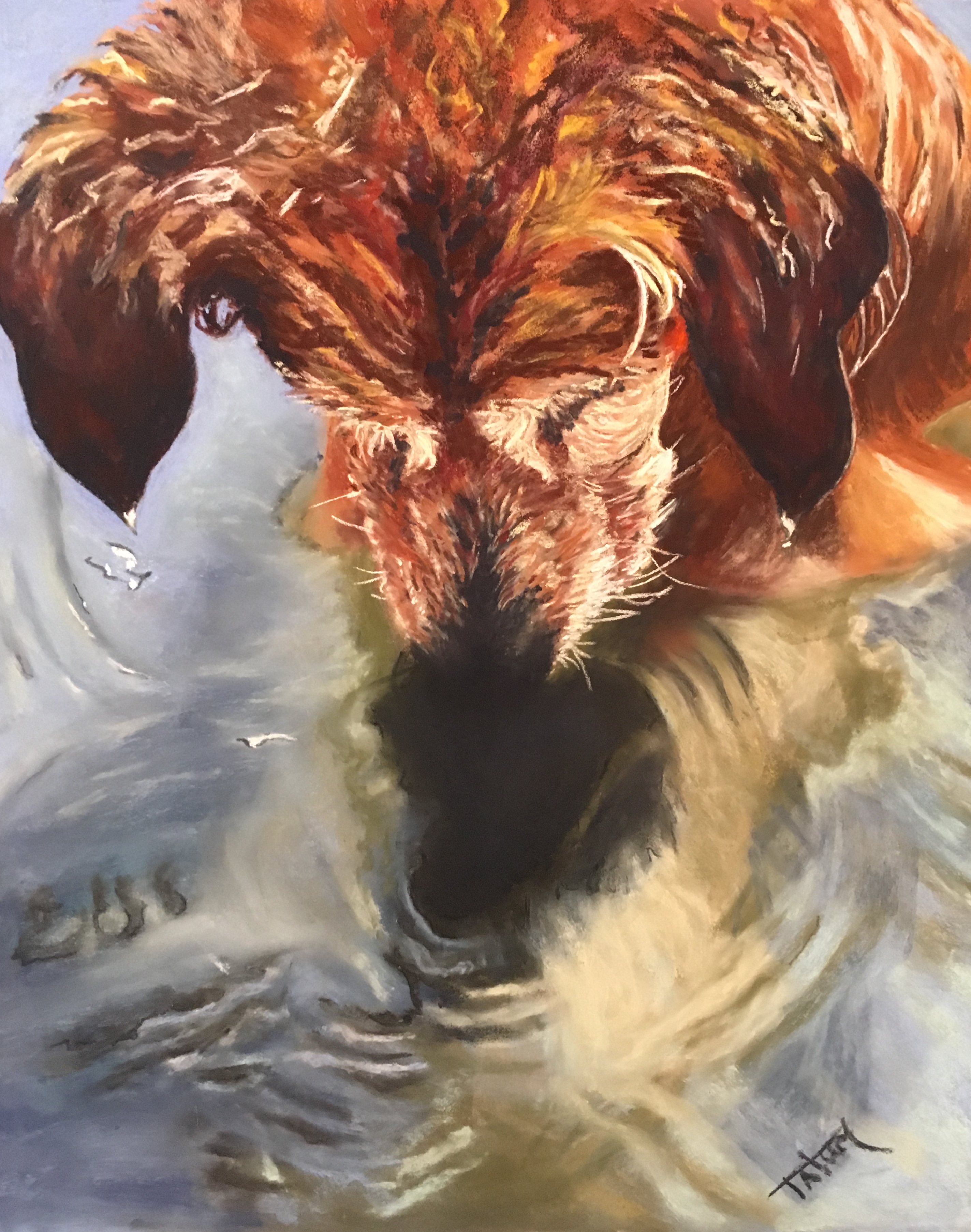 Nilla Fishing - SOLD