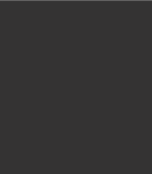 600x600px_#333333.png