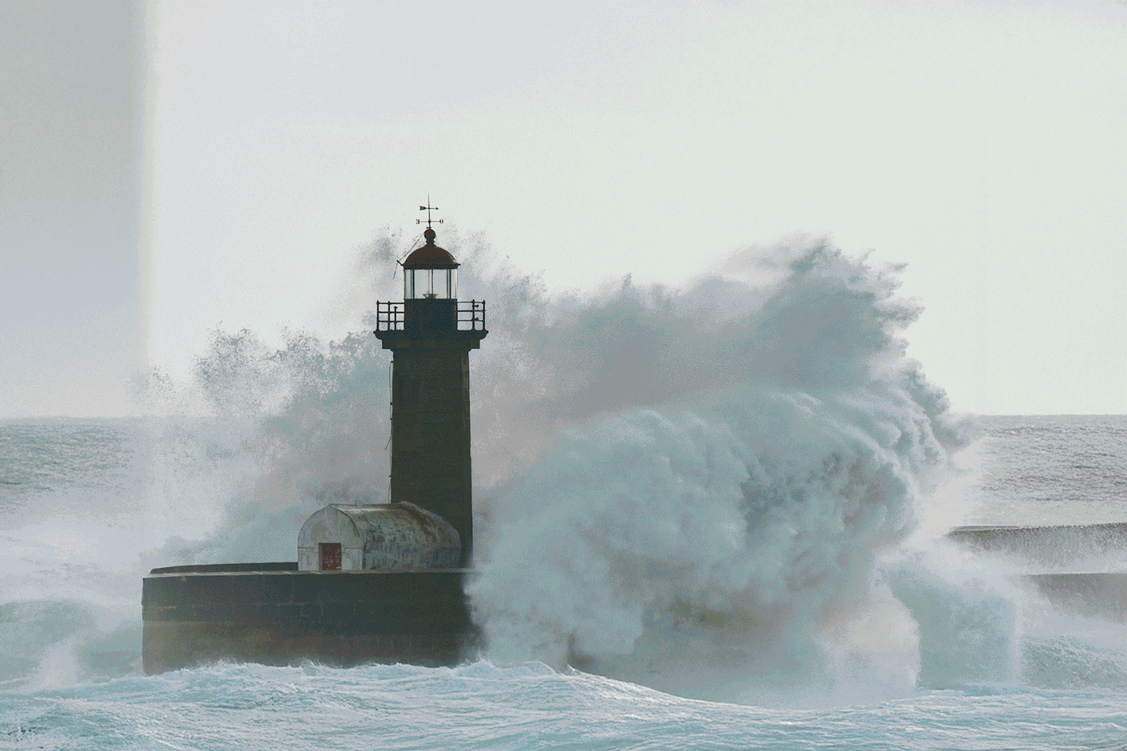 NY-GIF_SEPT_2025_1080.gif