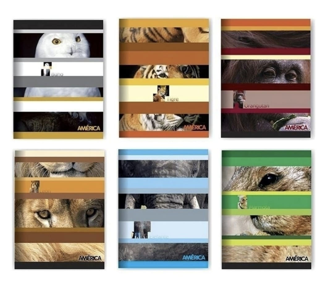 Cuaderno América x48h