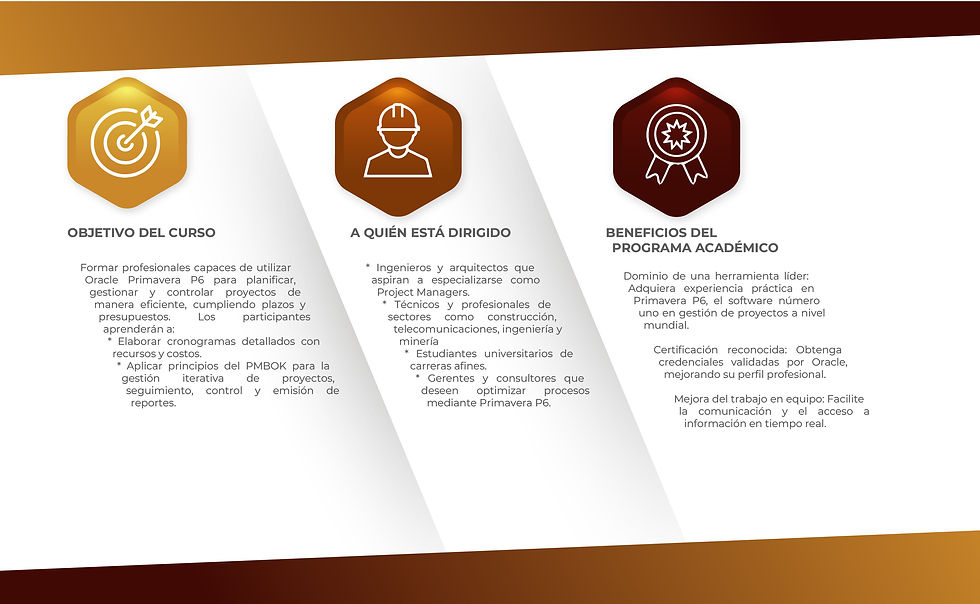 LANDING-DIPLOMADOS-PRIMAVERA_Mesa de trabajo 1 copia 2.jpg