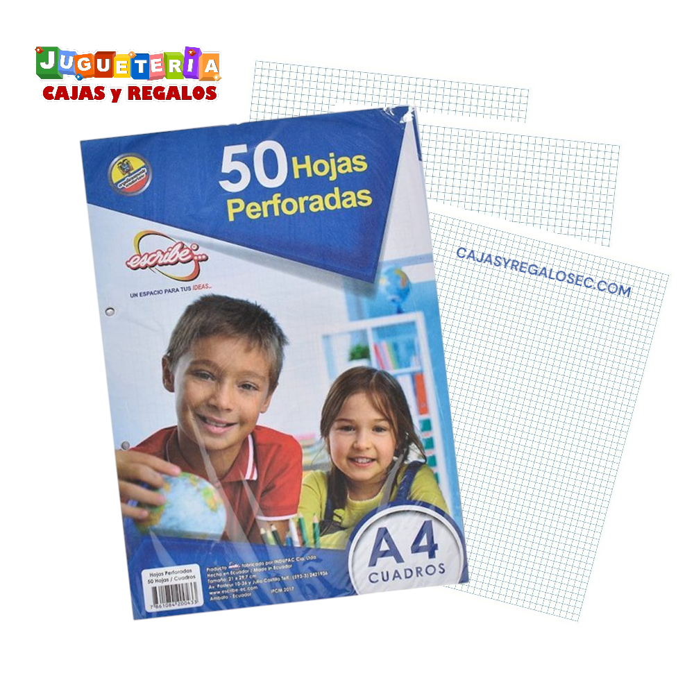 Hoja de Cuadro A4 - Hoja para Carpeta Perforadas - Papeleria Ecuador