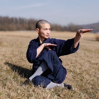 Shaolin Mönch zeigt Shaolin Kung Fu Schlangen Form in einem Park in der Sonne.