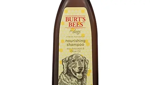 Burt's Bees Care Plus+ Nourishing Shampoo With Avocado & Olive Oil