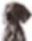Untitled.png