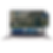 Pentru website vector.png