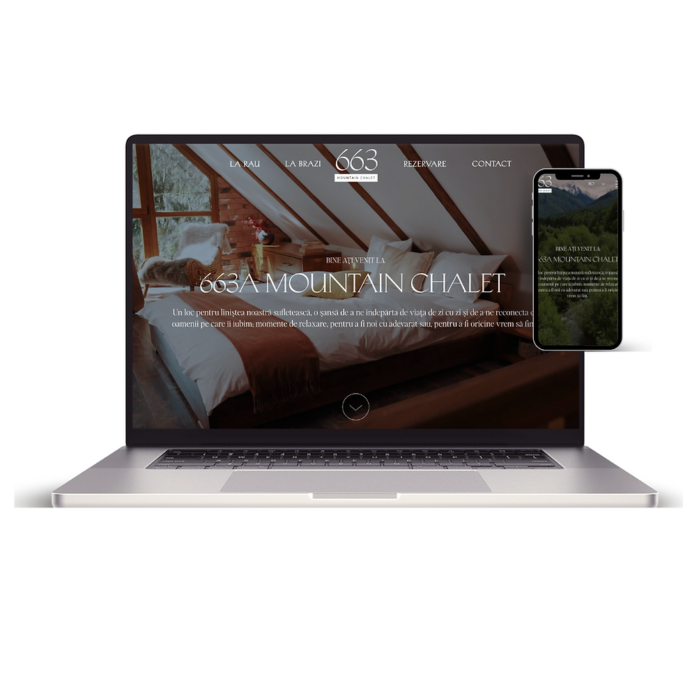 Pentru website vector.png