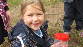 Field Trip to Liskennett Woods