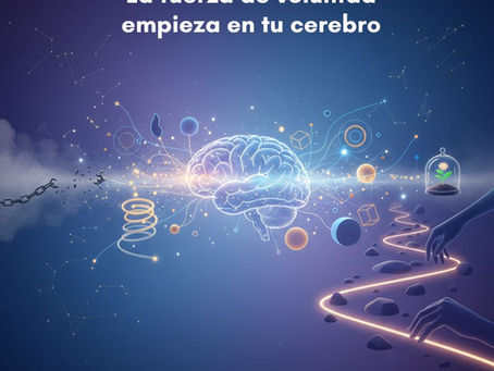 La fuerza de voluntad empieza en tu cerebro
