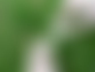 ¿Quieres ser socio en un negocio?: Asegura el éxito financiero