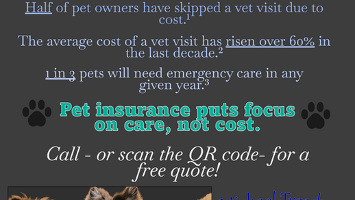 Let's talk four-legged friends...