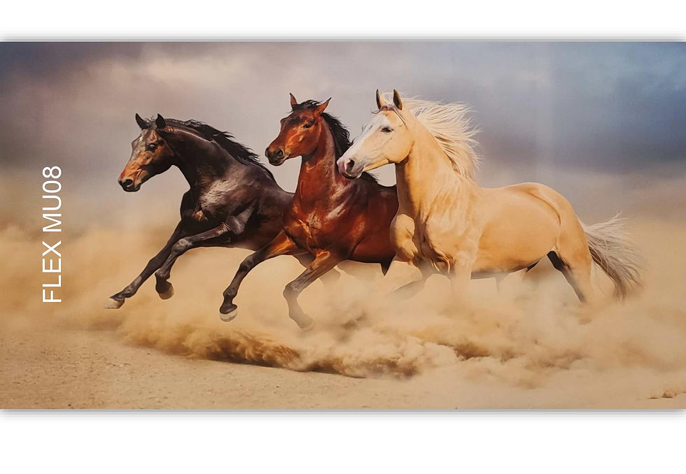 FLEX PVC MU08, size 8x4ft (32 sq. ft.)