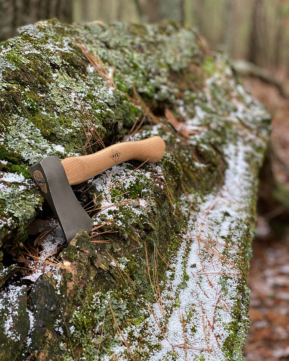 The Outsider - Mini Utility Belt Hatchet from Motor City Axe