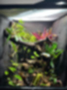 Image (1).jpeg
