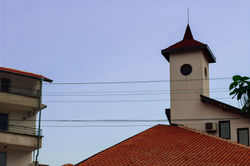 IMG_6923