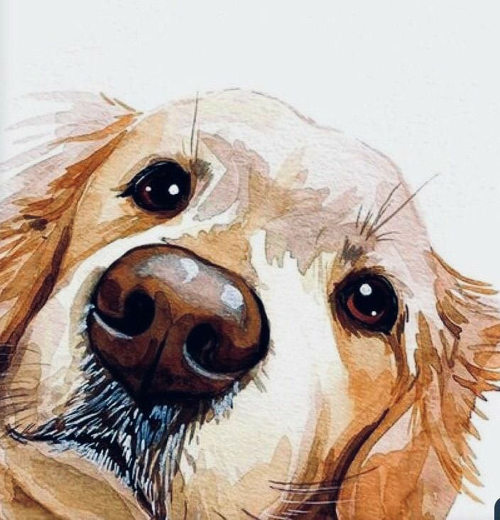 Online - Water Color Painting Workshop