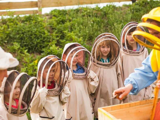 Apitherapy for orphans