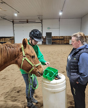 Empower U Equine - equine assisted services - pathway to self-discovery