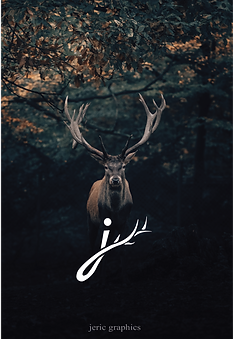 jericgrap-logo_edited.png