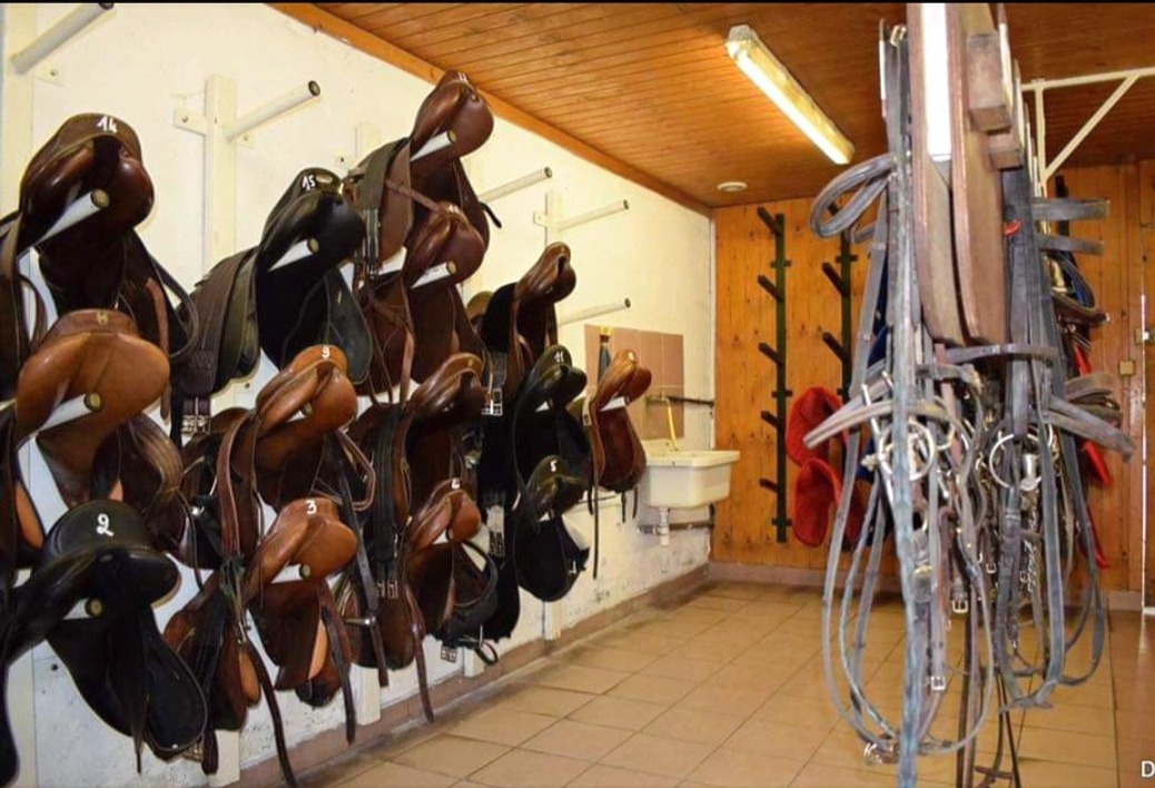 Marches D'étrier De Dressage 4,75 Pouces - Paire, Neuves