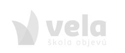 Logo Vela – škola objevů