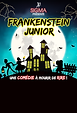 Affiche Frankenstein Junior - Sigma