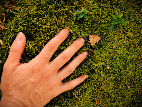 In Times of Distress, Go to Nature