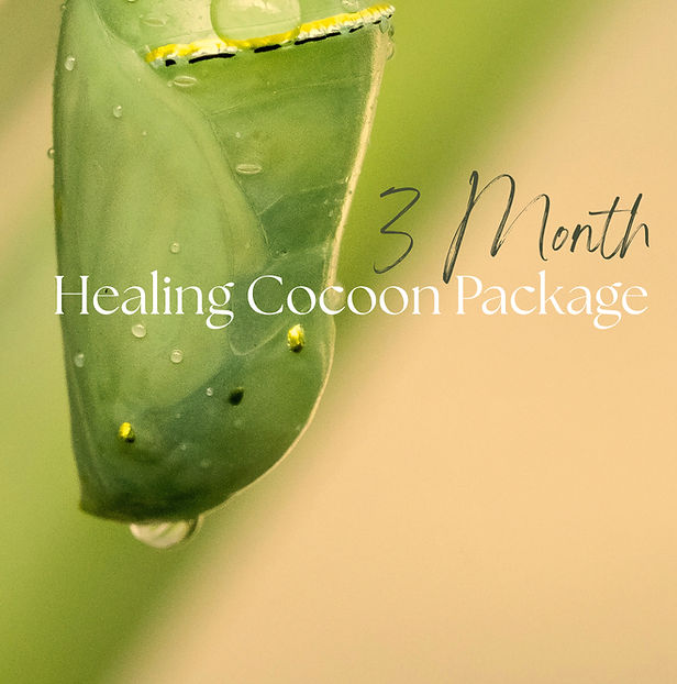 3monthhealing cocoon D_edited.jpg