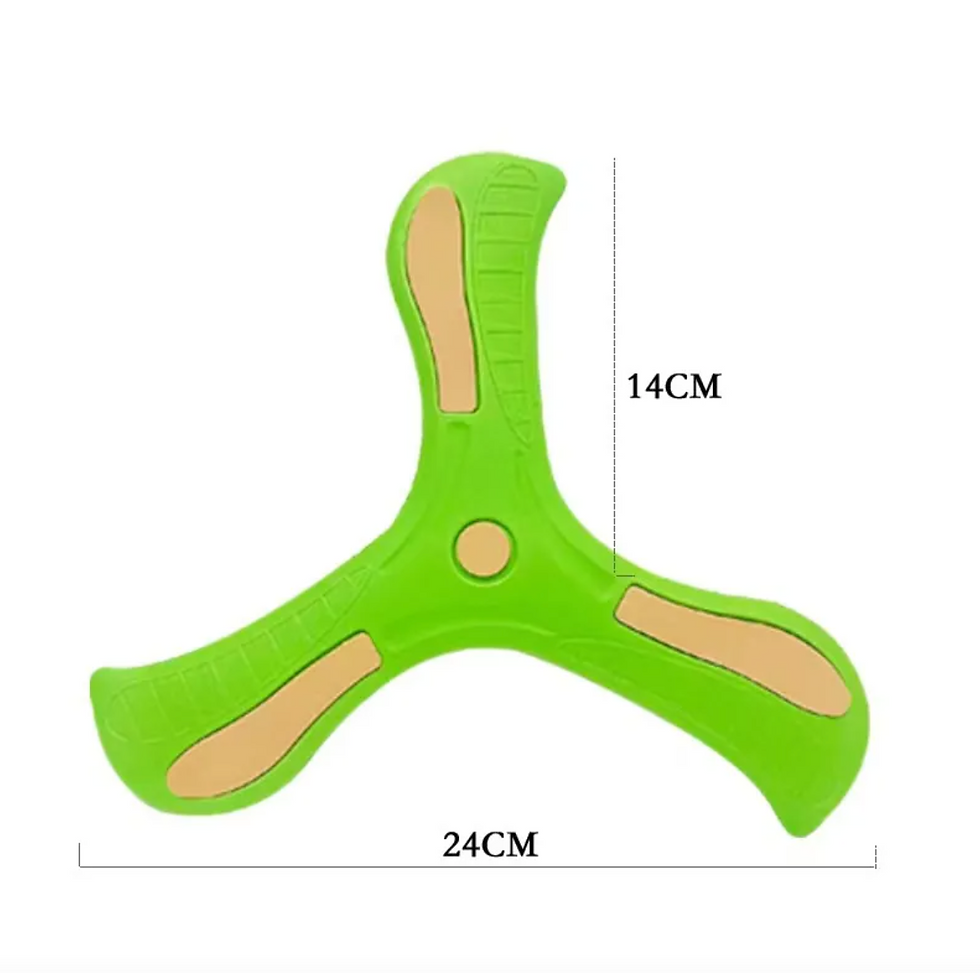 Thumbnail: Flexible Boomerang Toy