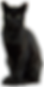 Gato negro 2