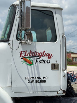 Eldringhoff Truck Decal