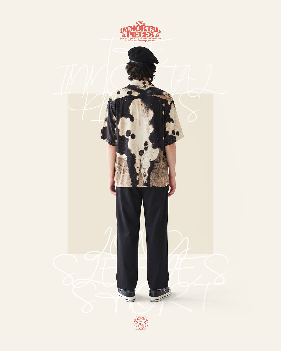 縮圖：SIXTEEN DIVINE HORSES HAWAIIAN SHIRT WALL BOXSET