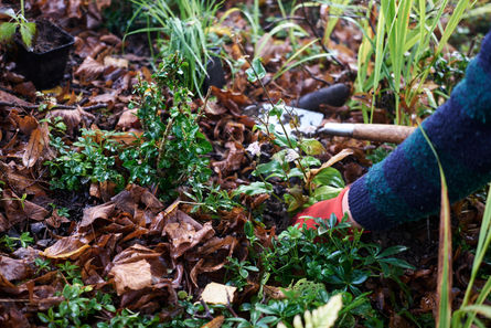 Landscape and garden photography by Mischa Haller for professional landscape designer for marketing and branding in the UK.