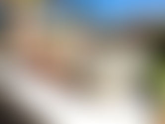 Beyond the brand name: Why we trust Outdura® for Arizona's harsh sun