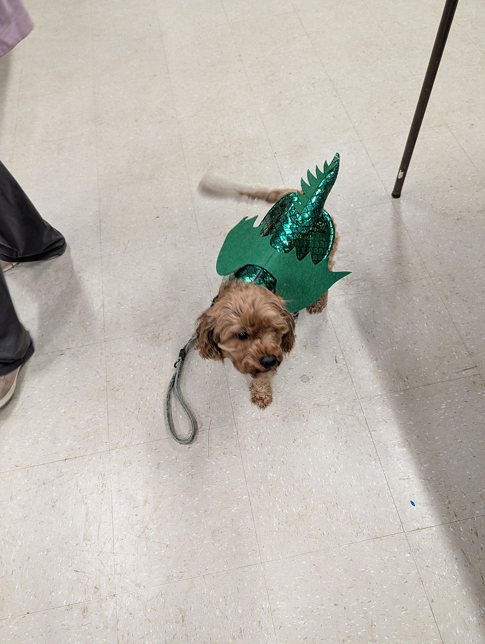 PXL_20251028_223721007