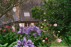 Bretagne - Bréhat.jpg